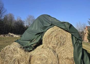 Sprzedam bale siana - 60szt - Mołodycz, Wola Roźwienicka