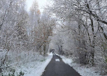 Działka do sprzedania 1558m2 Łuczyce Pod Lasem