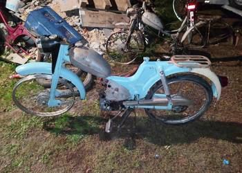 Komar 2330