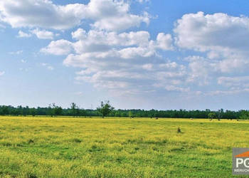 Działka 786m2 Rewal