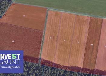 [11,36 ha] grunty rolne przetarg na dzierżawę