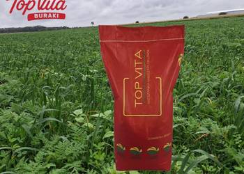 Mieszanka poplonowa Top Vita Burak 20kg