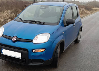 Fiat Panda 1,0 70 KM Hybrid