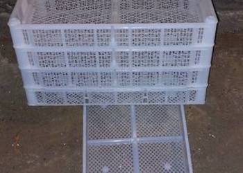 Skrzynki plastikowe 50x30x6.5cm. 30szt