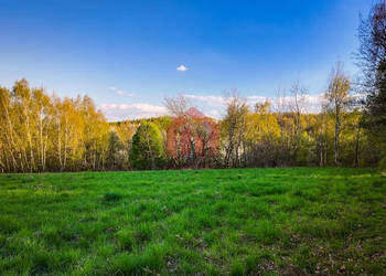 Sprzedam działka 33000m2 Kraczkowa