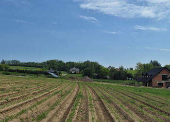 Działka 1800m2 Michałowice