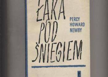 Łąka pod śniegiem - Newby