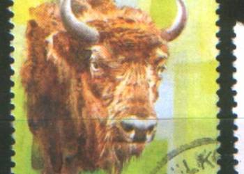 Zn. 3481 kas 1996