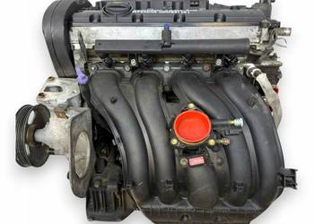 SILNIK RFN Peugeot 206 307 407 Expert Citroen C4 C5 C8 Jumpy 2.0 16V RFN