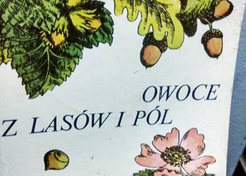 Owoce z lasów i pól książki medycyna naturalna Owoce z lasów i pól książki medycyna naturalna