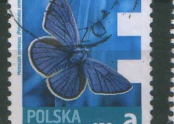 Zn. Fi 4477 kas  2013