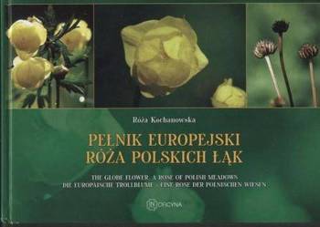 Pełnik Europejski -Róża polskich łąk