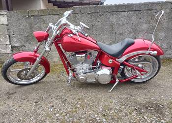 Harley Big Dog Mastiff