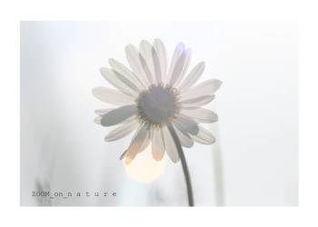 ZDJĘCIA przyrodnicze - cz.I