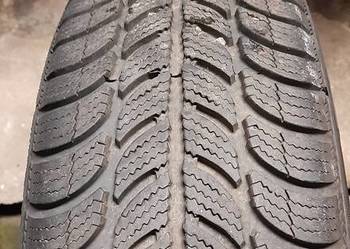 Opona SAVA ESKIMO S3 175/65 R14 82T zimowa beż felgi