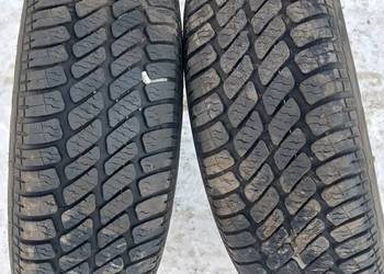 Opony WIELOSEZONOWE Dębica Navigator 2 175/65 R14 para 2szt