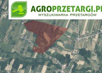 Dzierżawa 25,23 ha gruntu rolnego