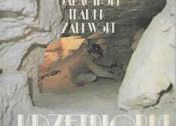Krzemionki S. Sałaciński