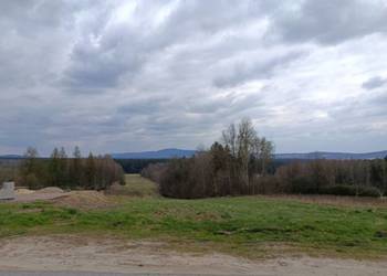 Przyjmę ziemię w celu podniesienia terenu