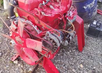 Silnik international case d 239 4 cylindrowy ihc kombajn 321 ciągnik Silnik international case d 239 4 cylindrowy ihc kombajn 321 ciągnik