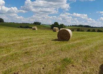 Bele Siana 120x120 + GRATIS słoma, siano ekologiczne