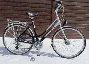 Rower Giant Tourer