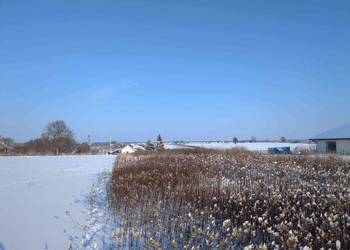 1/6 udziału w nieruchomości od syndyka - Osiny, gmina Żyrzyn