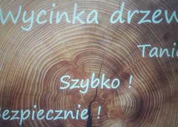 Wycinki drzew - Warszawa, Powiat Warszawski Zachodni