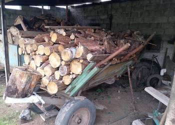 Drewno opałowe, suche, pocięte