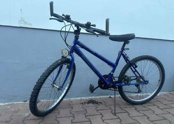 Rower męski Junior City Brand
