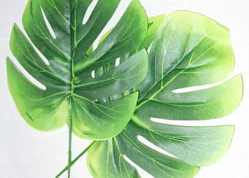 LIŚĆ MONSTERY, FILODENDRON DO STROIKÓW 36cm KS-151CH