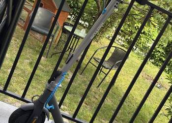 Hulajnoga elektryczna MOTUS Scooty 8.5 Lite