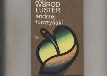 Lot wśród luster - Turczyński