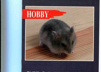 Banach Małgorzata - Chomik dżungarski Banach Małgorzata - Chomik dżungarski