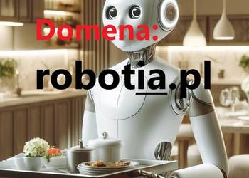 DOMENA    ROBOTIA.PL