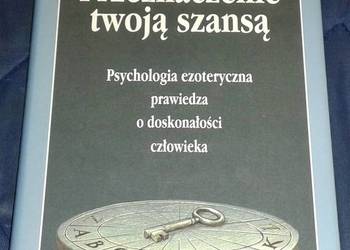 Przeznaczenie twoją szansą - Dethlefsen Thorwald