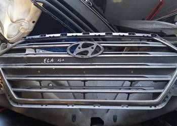 Grill atrapa Hyundai Elantra 16-