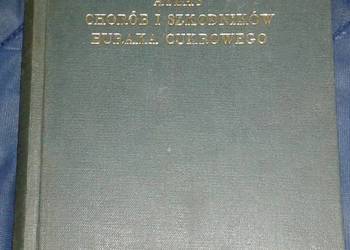 Atlas chorób i szkodników buraka cukrowego  - K. Hinfner