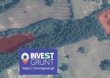 [8,15 ha] przetarg na dzierżawę jezior