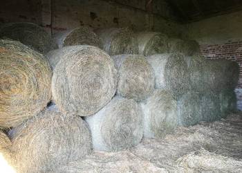 Siano i Sianokiszonka 120x120 Możliwość transportu
