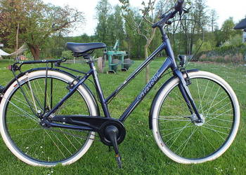 Fajny Niemiecki Rower GIANT LIGERO Shimano NEXUS 8 (Pegasus Koga)