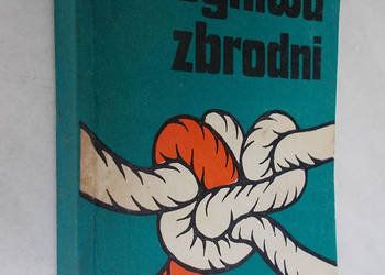 Ogniwa zbrodni - Krystyn Ziemski - Labirynt - kryminał