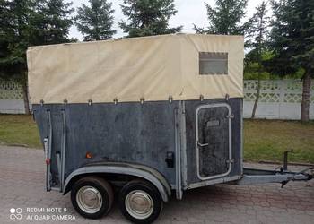 Przyczepa na 2 konie Westwalia 2000kg dmc