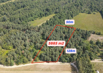 Dziecinów | działka rolna 5 885 m²