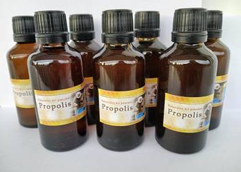 Propolis kit pszczeli 2025 buteleczka z kroplomierzem 50 ml