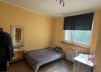 1pok, 34met, Okolice Parku Tołpy BALKON/PIWNICA/WINDA (Wrocław)