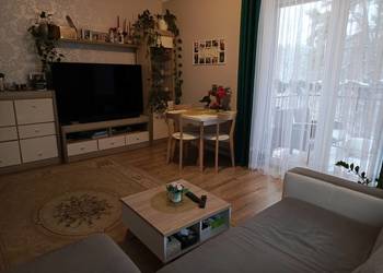 Klimatyczne mieszkanie 52 m2 z widokiem na las Olsztyn-Redykajny