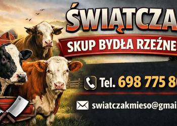 SKUP BYDŁA PŁATNOŚĆ DO 14 DNI ROBOCZYCH