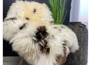 Skóra owcza holenderska i Texel - dywan dekoracyjny