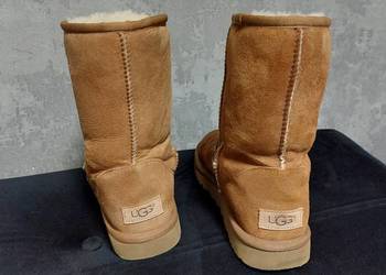 Sniegowce ugg classic short ll